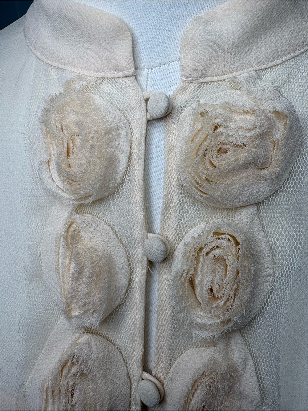 Club Monaco NWT Sheer Cream Silk Blouse - Distinctive Mesh Placket w 3D Rosettes - Picture 4 of 12